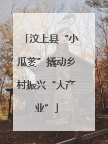 汶上县“小瓜蒌”撬动乡村振兴“大产业”