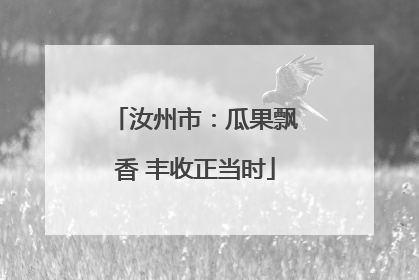 汝州市：瓜果飘香 丰收正当时
