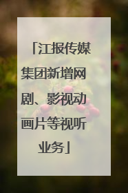 江报传媒集团新增网剧、影视动画片等视听业务