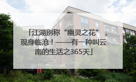江湖别称“幽灵之花”，现身临沧！——有一种叫云南的生活之365天