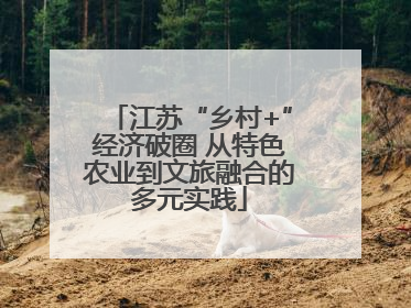 江苏“乡村+”经济破圈 从特色农业到文旅融合的多元实践