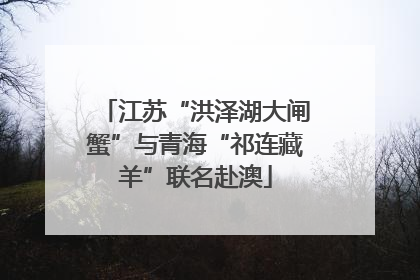 江苏“洪泽湖大闸蟹”与青海“祁连藏羊”联名赴澳