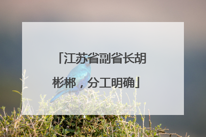 江苏省副省长胡彬郴，分工明确