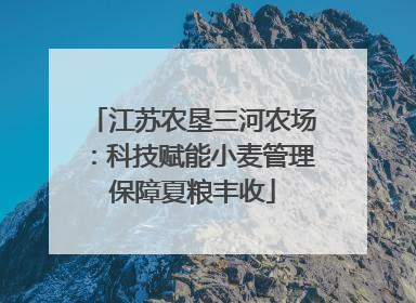 江苏农垦三河农场：科技赋能小麦管理保障夏粮丰收