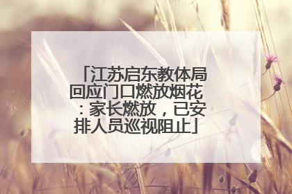 江苏启东教体局回应门口燃放烟花：家长燃放，已安排人员巡视阻止