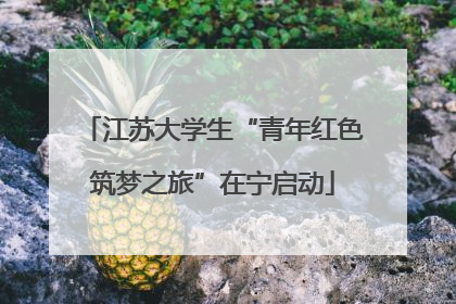 江苏大学生“青年红色筑梦之旅”在宁启动