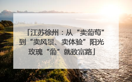 江苏徐州：从“卖葡萄”到“卖风景、卖体验”阳光玫瑰“葡”就致富路