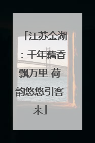 江苏金湖：千年藕香飘万里 荷韵悠悠引客来