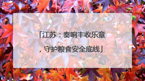 江苏：奏响丰收乐章，守护粮食安全底线