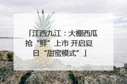 江西九江：大棚西瓜抢“鲜”上市 开启夏日“甜蜜模式”