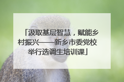 汲取基层智慧，赋能乡村振兴——新乡市委党校举行选调生培训课