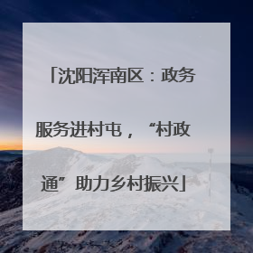 沈阳浑南区：政务服务进村屯，“村政通”助力乡村振兴