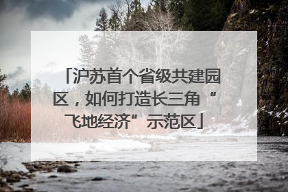 沪苏首个省级共建园区，如何打造长三角“飞地经济”示范区