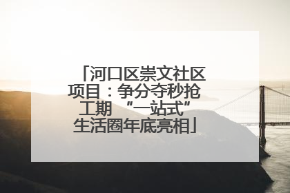 河口区崇文社区项目：争分夺秒抢工期 “一站式”生活圈年底亮相