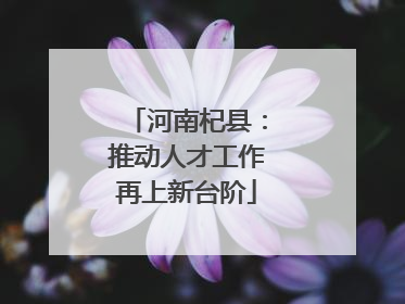 河南杞县：推动人才工作再上新台阶
