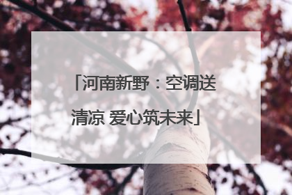 河南新野：空调送清凉 爱心筑未来