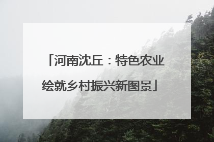 河南沈丘：特色农业绘就乡村振兴新图景