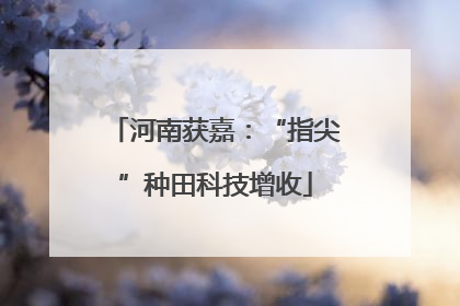 河南获嘉：“指尖”种田科技增收