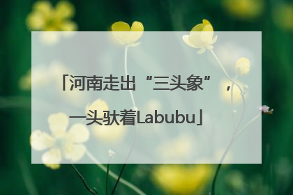 河南走出“三头象”，一头驮着Labubu