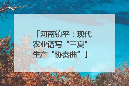 河南镇平：现代农业谱写“三夏”生产“协奏曲”