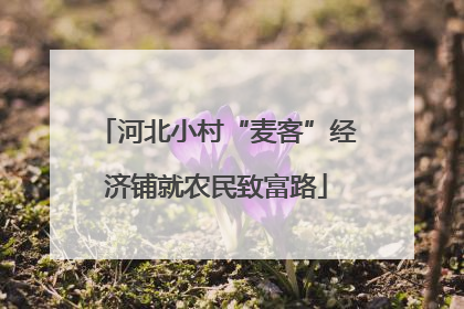 河北小村“麦客”经济铺就农民致富路