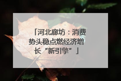 河北廊坊：消费势头稳点燃经济增长“新引擎”