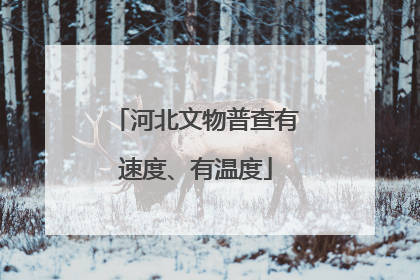河北文物普查有速度、有温度