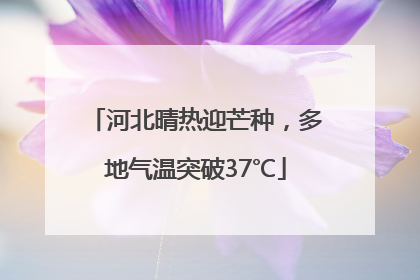 河北晴热迎芒种，多地气温突破37℃
