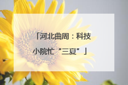 河北曲周：科技小院忙“三夏”