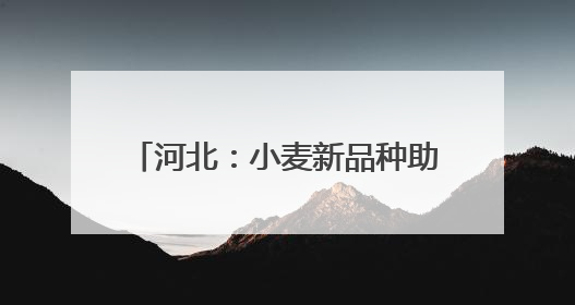 河北：小麦新品种助力农业高质量发展