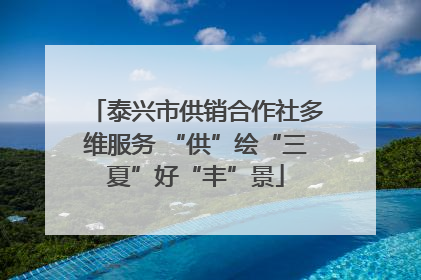 泰兴市供销合作社多维服务 “供”绘“三夏”好“丰”景