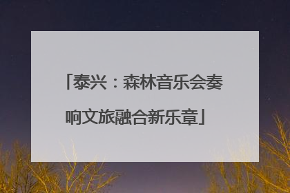 泰兴：森林音乐会奏响文旅融合新乐章