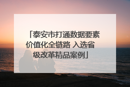 泰安市打通数据要素价值化全链路 入选省级改革精品案例