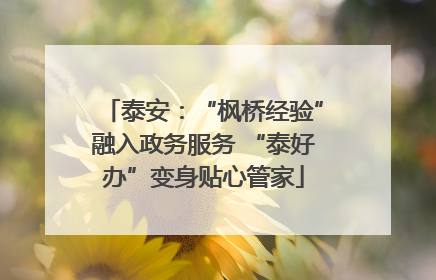 泰安：“枫桥经验”融入政务服务 “泰好办”变身贴心管家