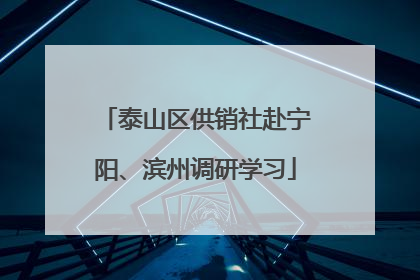 泰山区供销社赴宁阳、滨州调研学习