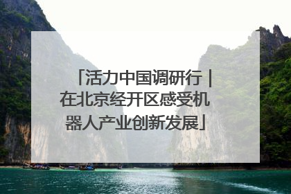 活力中国调研行｜在北京经开区感受机器人产业创新发展