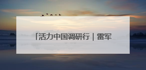 活力中国调研行｜雷军：未来5年将投2000亿元用于核心技术研发