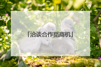 洽谈合作觅商机