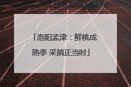洛阳孟津：鲜桃成熟季 采摘正当时