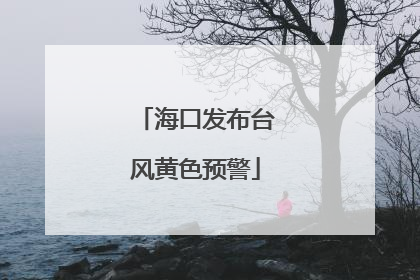 海口发布台风黄色预警