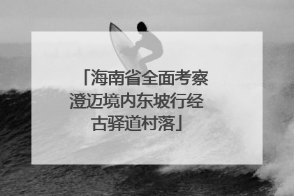 海南省全面考察澄迈境内东坡行经古驿道村落