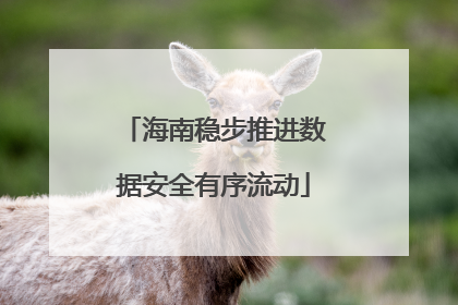 海南稳步推进数据安全有序流动
