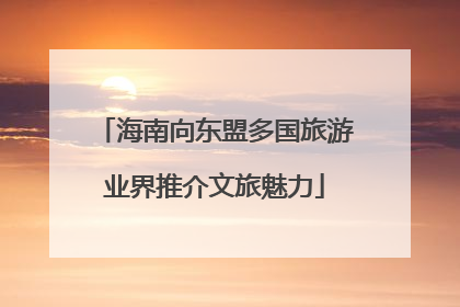 海南向东盟多国旅游业界推介文旅魅力