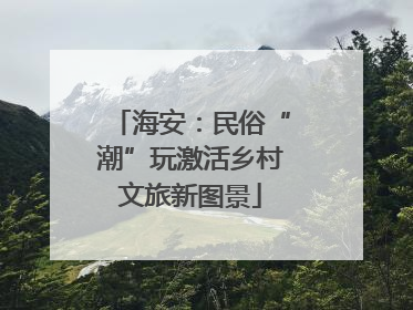 海安：民俗“潮”玩激活乡村文旅新图景