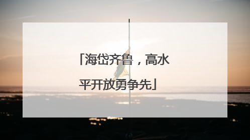 海岱齐鲁，高水平开放勇争先