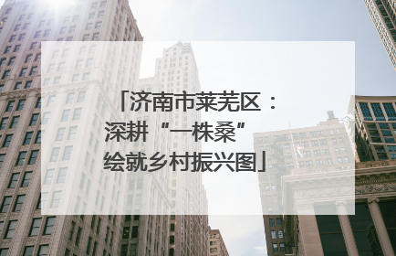 济南市莱芜区：深耕“一株桑” 绘就乡村振兴图