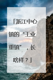 浙江中心镇的“工业重镇”，长啥样？
