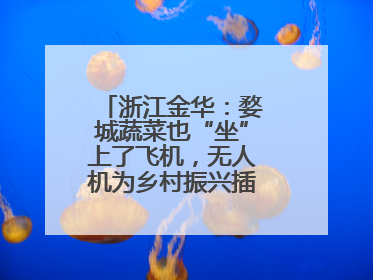浙江金华：婺城蔬菜也“坐”上了飞机，无人机为乡村振兴插上“翅膀”