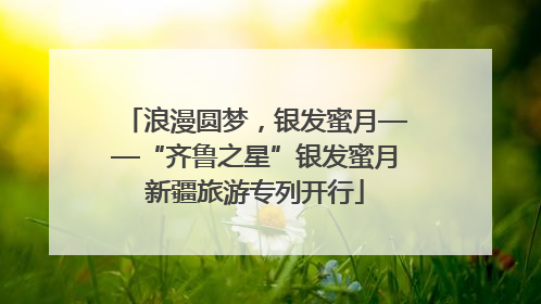 浪漫圆梦，银发蜜月——“齐鲁之星”银发蜜月新疆旅游专列开行