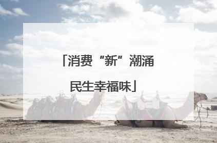 消费“新”潮涌 民生幸福味